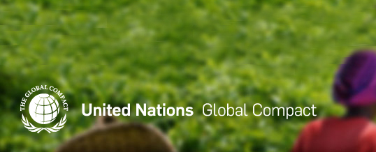 UN Global Compact Annual report