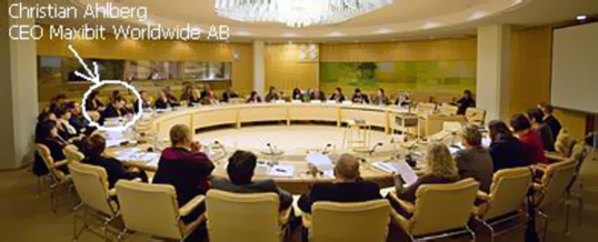 Swedish Government, Reference Group for CSR